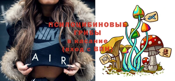 прущая мука Арсеньев
