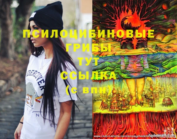 таблы Аркадак
