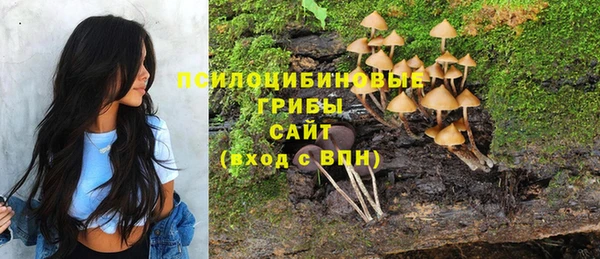 МДПВ Армянск
